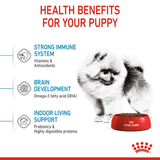 SHN MINI INDOOR PUPPY - BENEFICIOS.png